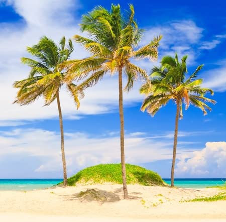 adrium Foto in legno 90 x 90 cm: palme da cocco sulla bellissima spiaggia di Varadero a Cuba (11116375)
