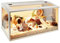 Prolee Hamster Cage Wooden Extra Large Mice and Rat Habitat Openable Top with Acrylic Sheets Solid Built (24 Inch)