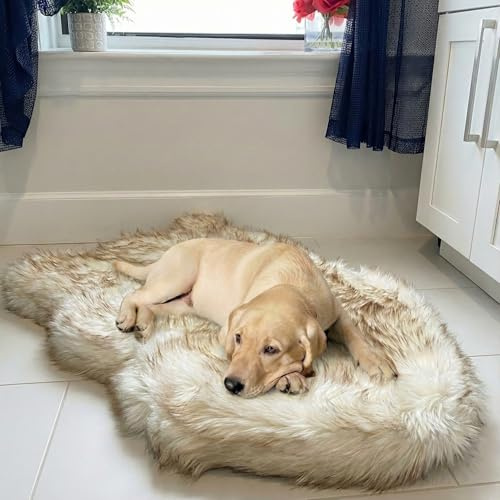 IHAPPYDOG Lyxig konstgjord päls ortopedisk hundsäng, minnesskum hundbädd för liten, medium, stor och XL husdjur, fluffig husdjursmatta med vattentätt och tvättbart överdrag, vit, medium 102 x 63 cm