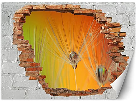Feeby Fototapete Abstraktion Loch in der Wand Natur 300x210 cm Orange XXL Vlies Wandtapete Tapeten Wohnzimmer Schlafzimmer Büro Flur Moderne Design Wandbilder Wand Dekoration Löwenzahn Samen Tau
