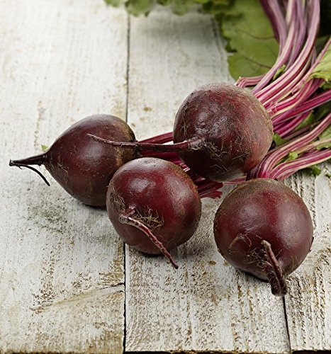 Rote BeteRote Kugel - 100 g - samen