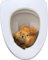 WC Aufkleber 3D Eichhörnchen Toilettensitz Aufkleber Selbstklebend Dekorativer Wandaufkleber Tier PVC Aufkleber für Badezimmer, Schlafzimmer, Küche, Wohnzimmer, Kinderzimmer, WC Zubehör (20 x 25 cm)