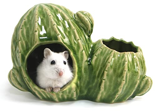 Zhilishu Keramik-Hamster-Versteck, Zwerghamsterhaus mit Doppeltüren, syrische Hamsterhütte, Versteck, Lebensraum, Dekoration, Anti-Biss-Versteck, Haushöhle für Mäuse, Rennmäuse (hellgrün)