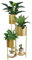 TRIROCKS Multiple Metal Plants Stand, 6 Tier 6 Potted Indoor Flower Pot Holder Shelf Outdoor Foldable Decorative Storage Rack for Patio Garden, Living Room, Corner (Gold)
