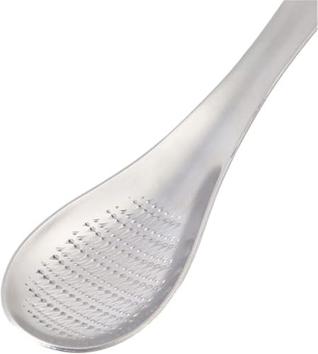 Stainless Steel Kitchen Practical Spoon Shape Fruit Mixer Ginger Grater Wasabi Garlic Grinding Cheese Grater Tools