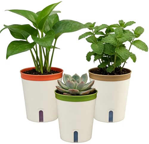 TEYIAN 14.5cm Self Watering Plant Pot Indoor 3 Pack Plastic Flower Pot Modern Decorative Garden Planter Pots for Herb Orchid Aloe Succulent Plants