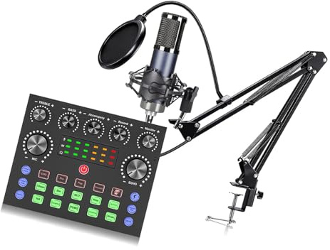 FANSHINUO Micrófono condensador portátil tipo C y tarjeta de sonido que ofrece un uso fácil en tiempo real para transmisión en vivo, reuniones en línea, dispositivo de radiodifusión