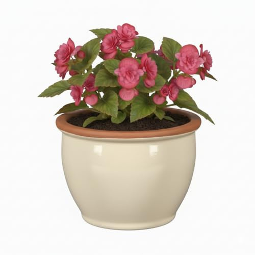 Vaso da fioriera in ceramica resistente al gelo - Vasi da esterno resistenti alle intemperie per giardino e terrazzo in crema, lavanda, blu tenue. Dimensioni da 18 cm a 38 cm (crema, 30 cm x 22 cm)