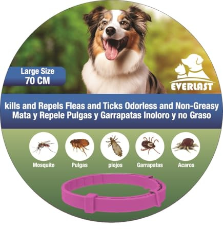 Tempotech ® 1 unité Collier antiparasitaire Chien et Chat - 8 Mois de Protection - Contre Les puces, tiques, moustiques, acariens et poux - Collier Vermifuge - Grand Chien du 8 au 40 kg