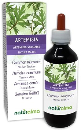 Armoise commune (Artemisia vulgaris) herbe avec fleurs Teinture Mère sans alcool Naturalma - Extrait liquide gouttes 200 ml - Complément alimentaire - Végétalien ou végan