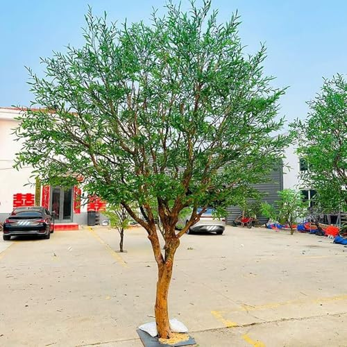 Glenmi Olivo Artificial Grande, Planta Artificial de Aspecto Realista for decoración del hogar, árbol Artificial en Maceta sin Mantenimiento for Sala de Estar, Oficina o Tienda.(1.5mx1.5m)