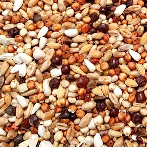 Supravit Ziertaubenfutter Show I Taubenfutter 25kg I Vogelfutter I hochwertige Alleinfutter - Mischung für Tauben I Taubenfutter mit schmackhafter Hirse und vielen weiteren wertvollen Zutaten