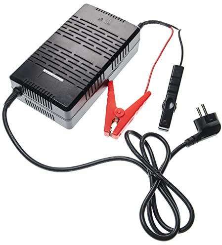 vhbw Ladegerät kompatibel mit Wohnwagen-Akkus (LiFePO4, 12.8V) Batterieladegerät mit Polklemmen + LED-Anzeige (AC 100-240V, 5.5A, DC 14.6V, 30A)