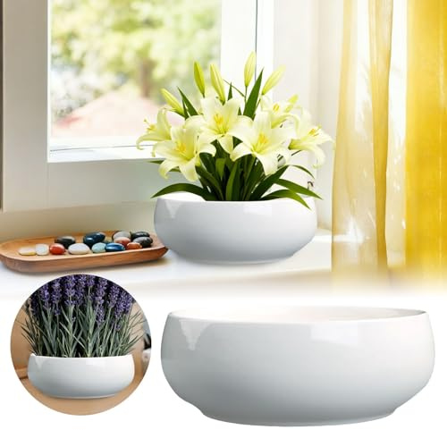 2026 Elegantes maceteros para bonsái en interiores, macetas de cerámica con esmalte único, diseño a prueba de fugas para una vida moderna! (blanco, 16 x 6 cm)