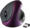 BeWishes Mouse ergonomico, wireless 2.4G ad alta precisione ricaricabile mouse verticale ergonomico, DPI regolabile, riduce l'affaticamento del polso, Specialmente per le mani piccole, destrimani