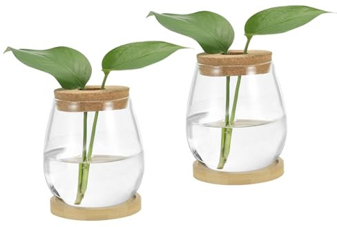 PATIKIL Estación De Propagación De Plantas Vasos De Vidrio, 2 Pcs Maceta De Escritorio En Forma De Lágrima Terrario con Bandeja De Madera Y Tapa Hogar Plantas De Interior, Blanco