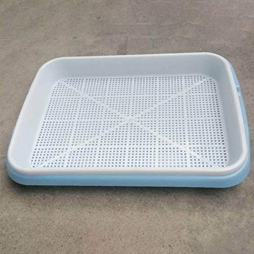 tooloflife Seed Sprouter Tray Soil-Free, Food Grade PP Healthy Wheatgrass Grower, Two-Tiered Plant Soilless Seed Tray for Beans, Peas, Wheatgrass and more Blue/Pink/Green/Purple