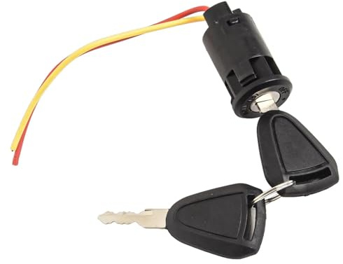 Blocchetto Accensione Moto 1 Set Di Interruttore A Chiave Accensione Per Bici Elettrica A 2 Posizioni Per Scooter Elettrico Lucchetto(2PIn M)