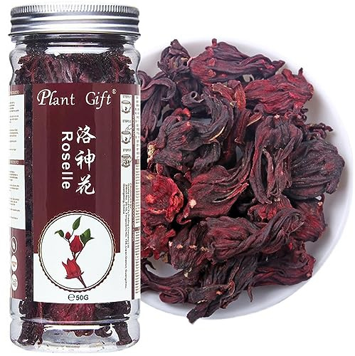 Plant Gift Hibiscus Flowers Roselle 50G/1.76oz 洛神花 Hibiskusblüten Roselle, Kräutertee, Eced Hibiskus -Tee, lose Blatt, gesunder Kräutertee