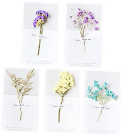 MAGICLULU Grußkarten Zum Geburtstag 10 Stück Getrocknete Blumen Partykarten Babysbreath Gelb