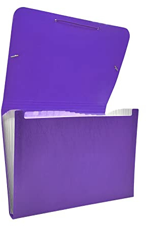 Raylu Paper® - Cartella classificatrice a fisarmonica per documenti a 12 scomparti, raccoglitore in plastica opaca con divisori per ufficio (Viola)