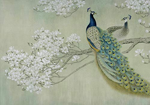 wandmotiv24 Fototapete Pfau Weis Blüten Zweig Betonwand, XL 350 x 245 cm - 7 Teile, Wanddeko, Wandbild, Wandtapete, Tiere Vogel Natur Baum Wand M4688