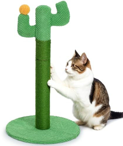 Cat Scratching Post for Indoor Cats - Happy & Polly Cactus Cat Scratch Post in Jute Rope - 60cm Cat Scratcher with Stable Base for Kittens and Small Cats