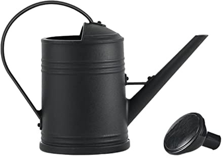 LOVIVER Annaffiatoio da 2 Litri con Testina Spray Staccabile Attrezzi da Giardino Portatili di Grande capacità Vaso Decorativo Smerigliato Pratico per la casa, Nero