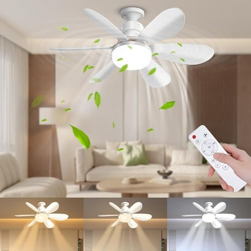 DBFAIRY 52cm Ceiling Fans with Lights, E27 Base Screw in Small Ceiling Fans Lights with Remote Timer 3 Colors Dimmable, 3 Speeds, 3000K-6500K LED Light for Bedroom Kitchen Office Dormitory