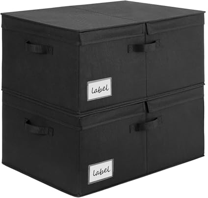 GRANNY SAYS Extra Large Storage Bins with Double-Open Lid, Closet Storage Boxes with Label, 63L Stackable Storage Organizer, Shelves Basket, Black, 2-Pack