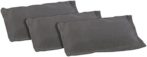Lescars Silikatkissen: Wiederverwendbarer Luftentfeuchter mit 250 g Silika-Gel, 3er-Set (Silikat Entfeuchter, Silikat Luftentfeuchter, Windschutzscheibe)