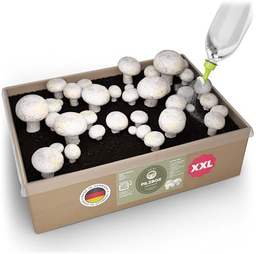 Hiwago weiße Champignon Pilzbox zum Pilze züchten für Zuhause – Komplettset für weiße Champignons, Pilzbrut zum Züchten für zuhause - Mushroom Grow kit mit Myzel & Gießkannenaufsatz Gr. XXL