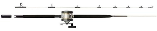 Mitchell Combo Performance Boat per la Pesca in Mare in Barca Composto da Canna da Pesca e Mulinello per la Pesca del Bar, sgombri, Luogo
