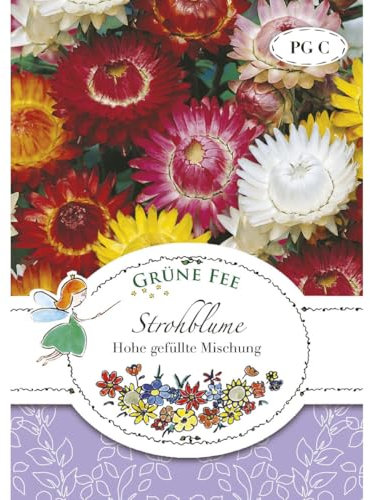Grüne Fee - Strohblume Hohe gefüllte Mischung Samen - 13705