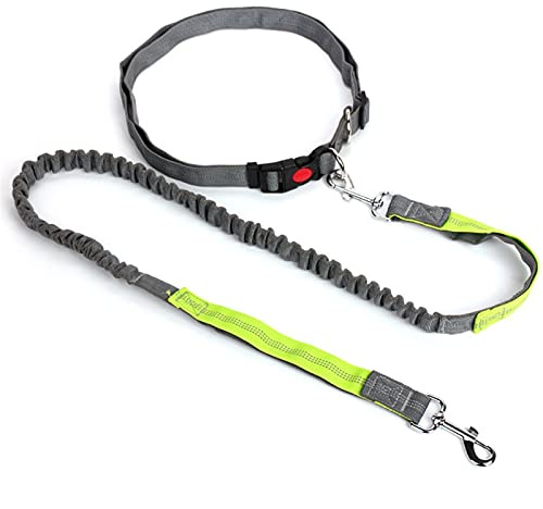 Einziehbare Hundeleine, Reflektierende Leine Zugseil Haustier Hund Laufgürtel elastische Jogging Pull Hundeleine Hundeleine