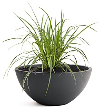 Pflanzwerk® Pflanzkübel Pflanzschale Bowl Ø 36cm Anthrazit *Frostbeständige Blumenschale* *Premiumqualität* *Lotus-Effekt Imprägnierung*