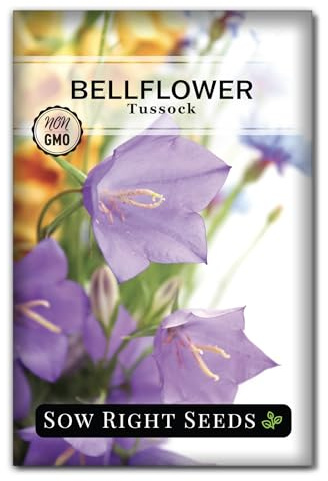 Sow Right Seeds - Tussock Bellflower Seeds for Planting - Blue Campanula Carpatica Perennial- Non-GMO Heirloom Packet With Instructions to Plant in Your Garden - Bell Shaped Blooms Outside Gardens (1)