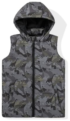 SNOW DREAMS Boys Girls Puffer Vest Hooded Quilted Outwear Sleeveless Jacket Lined Zipper Waistcoat Grey Dinosaur Size 6