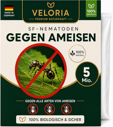 VELORIA Aktive SF-Nematoden gegen Ameisen – Effektive Ameisenbekämpfung mit Nestwirkung – Umweltfreundlich, chemiefrei, einfache Anwendung (5 Mio für 10m²)