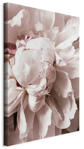 murando - Leinwandbild Natur Magnolie, 40x60 cm, 1-teilig, Schlafzimmer | Hochwertige Leinwand, sofort aufhängbar, ideal fürs Wohn- oder Schlafzimmer, wasserfest und lichtecht, langlebig, stilvoll