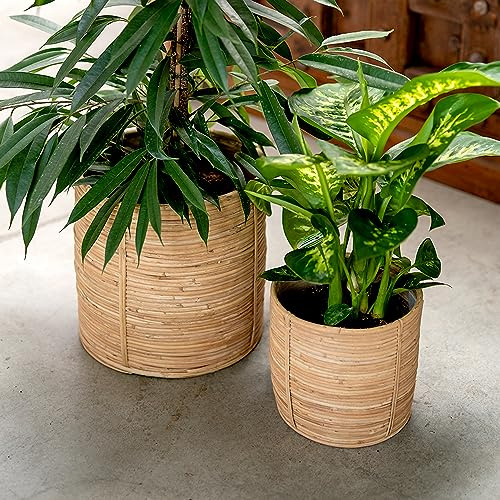 DARO DEKO Rattan Korb Topf Ø 22 x 20cm rund Blumentopf geflochten Aufbewahrungskorb Übertopf Blumenkorb