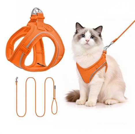 Hundegeschirr mit Leine 255cm S Set, Reflektierend (Orange) | Brustgeschirr Für Kleine Hunde & Katzen, Atmungsaktives Mesh, Anti-Ausbruch, Weich, Spaziergang