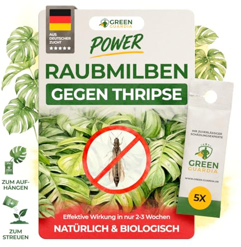 GREEN GUARDIA Power Raubmilben gegen Thripse – 5 Tüten -Biologisches Mittel zur effektiven Thripse Bekämpfung für Zimmer- & Zierpflanzen sowie Canna. – umweltfreundlich,chemiefreie Mittel