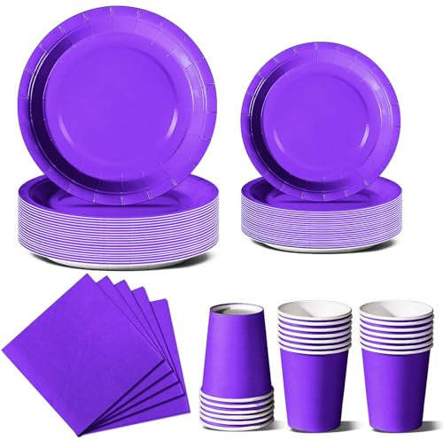 Nkaiso 96Pcs Violet Vaisselle Jetable Anniversaire-24 Invités | Party Vaisselle Set Inclut Assiette Carton Gobelets Serviette pour Barbecue les Fêtes les Pique-niques