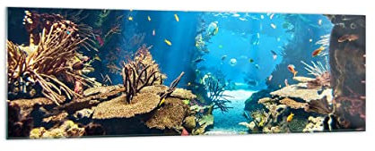 Vidrios decorativos 160x50cm Cuadro Sobre Vidrio Moderno Océano arrecife peces coral Grande XXL Cocina Cuadros Pared Impresiones Decoracion Salon Impresión en Cristal Wall Art Prints GAB160x50-2872