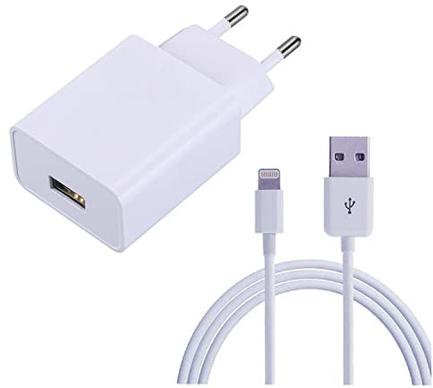 ZLONXUN Caricabatterie Caricatore 12W e Cavo compatibile con iPad Air 3/2/1, mini 5/4/3/2,iPad 5/6/7, iPad Pro 9,7/10,5/12.9(1 Gen/2 Gen), iPhone 7 8 6s XS XR