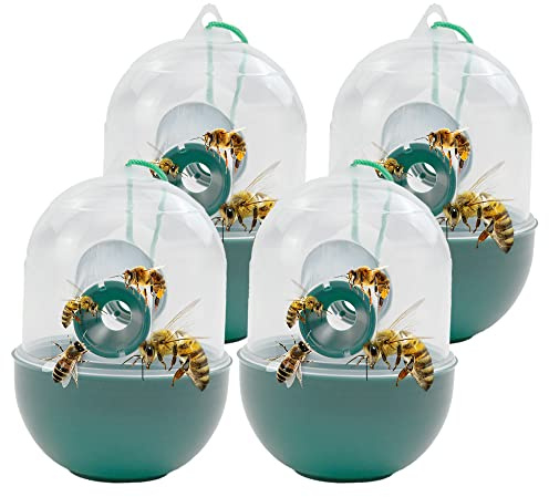 Ram® - Juego de 4 trampas Colgantes para Avispas