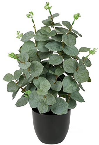 Oairse Pianta di eucalipto artificiale in vaso nero, 36 cm, pianta finta in vaso per la decorazione della casa realistica verde artificiale per interni piante finte per mensola da tavolo ufficio
