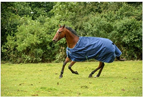 Bucas Regendecke Light Stay-Dry SMARTEX RAIN blau 130cm + Hufkratzer Reiterladen24.de