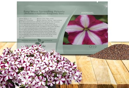 Outsidepride Burgundy Star Easy Wave Petunia Seeds - 15 Pcs. Annual, Compact & Spreading Flower Seeds for Planting Low Growing Vibrant Blooms, Ideal for Garden Beds, Baskets & Container Displays